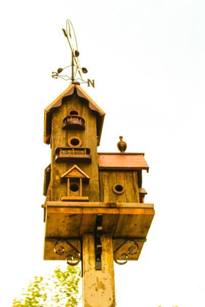 The Nutmeg Inn Meredith Zewnętrze zdjęcie